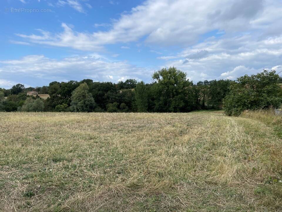 Terrain à MONTFA