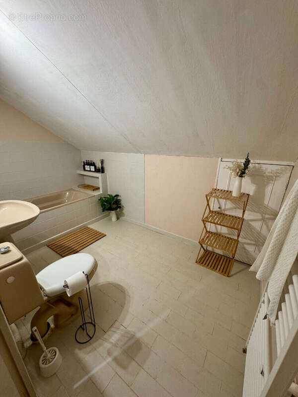 Maison à SAINT-FARGEAU