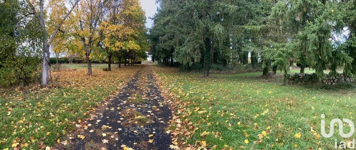 Photo 4 - Maison à VILLIERS-AU-BOUIN