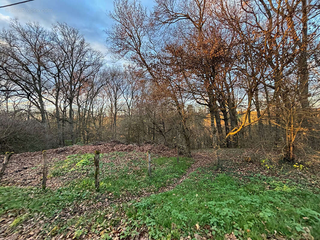 Maison à MORNAY-SUR-ALLIER