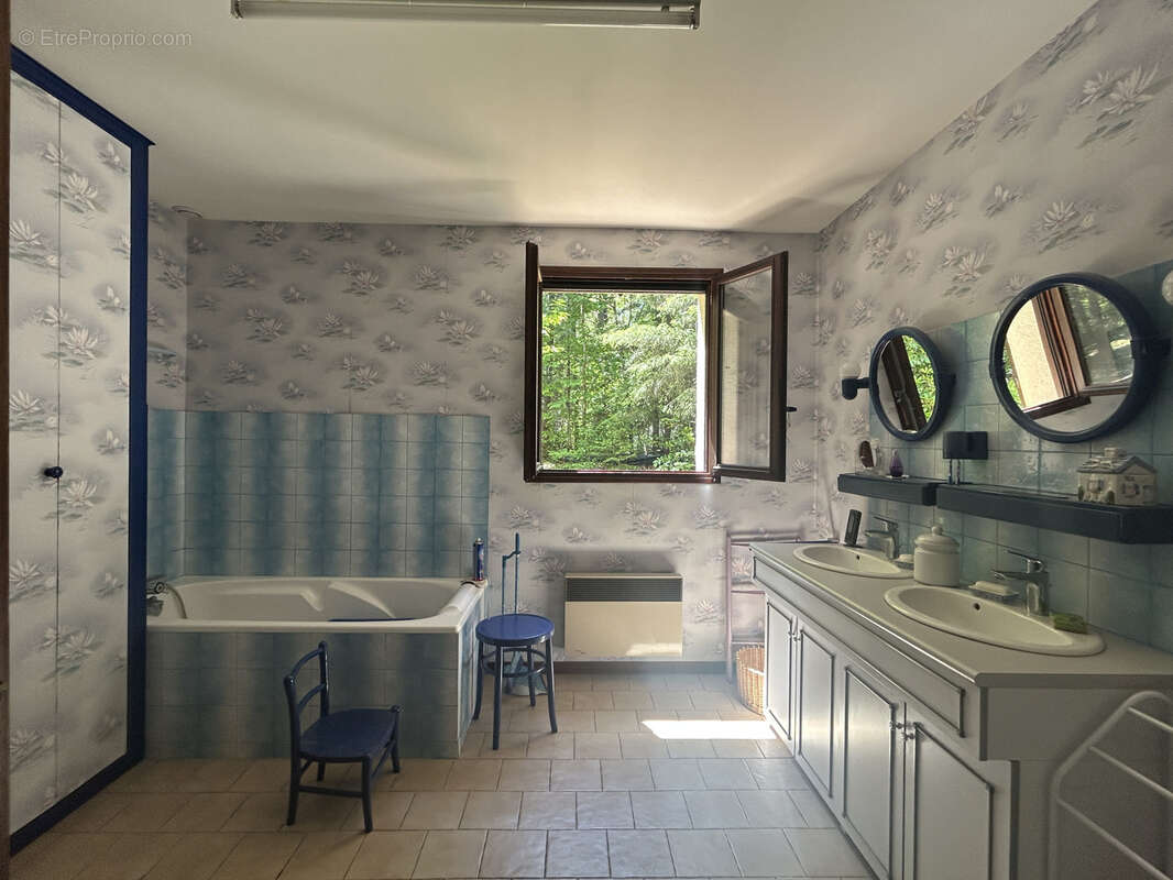 Propriété boisée, close, sans voisins proches : maison avec tourelle, garage - photo 11