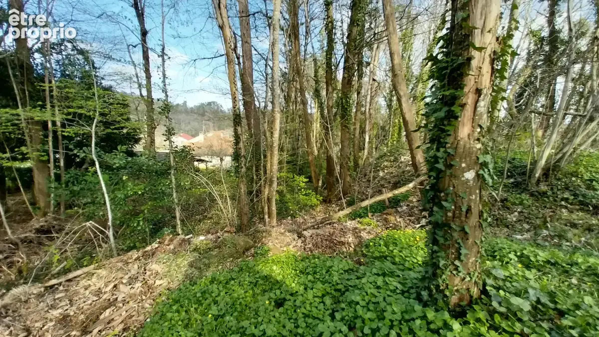 Terrain constructible Boisé 2500 m2 à CHANCELADE - photo 4