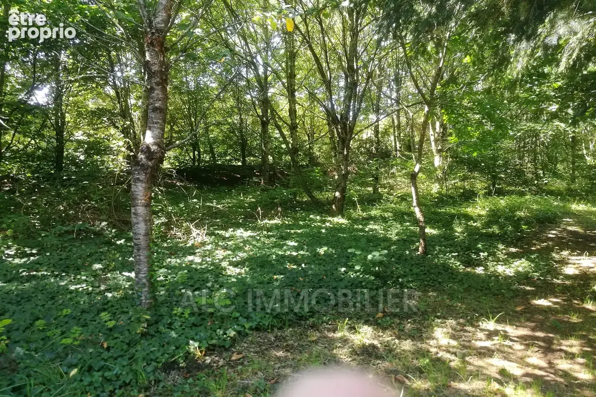 Terrain 110 000 m² à vendre à Hambers (53160) - photo 4