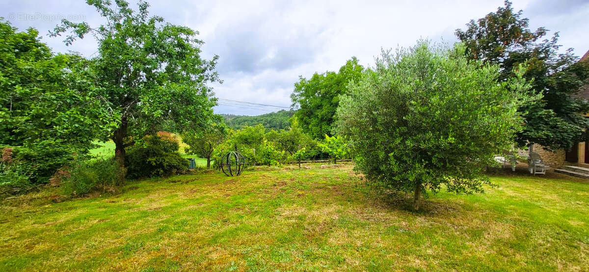 Maison à LE BUISSON-DE-CADOUIN