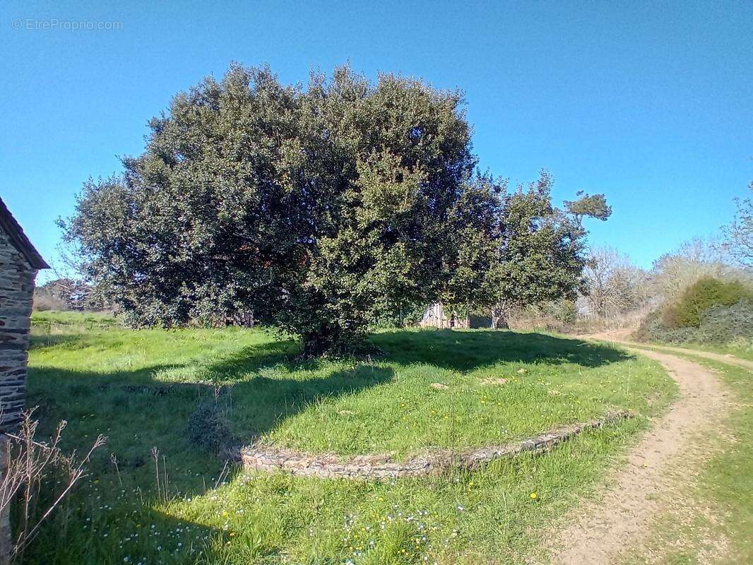 Maison à PLESTIN-LES-GREVES