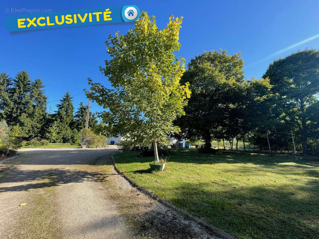 Maison à CHATEAUNEUF-SUR-LOIRE