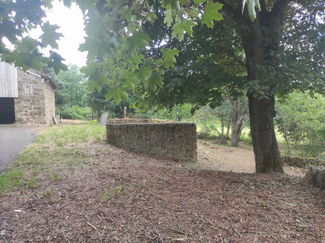 Ancienne ferme en pierres rénovée - photo 18