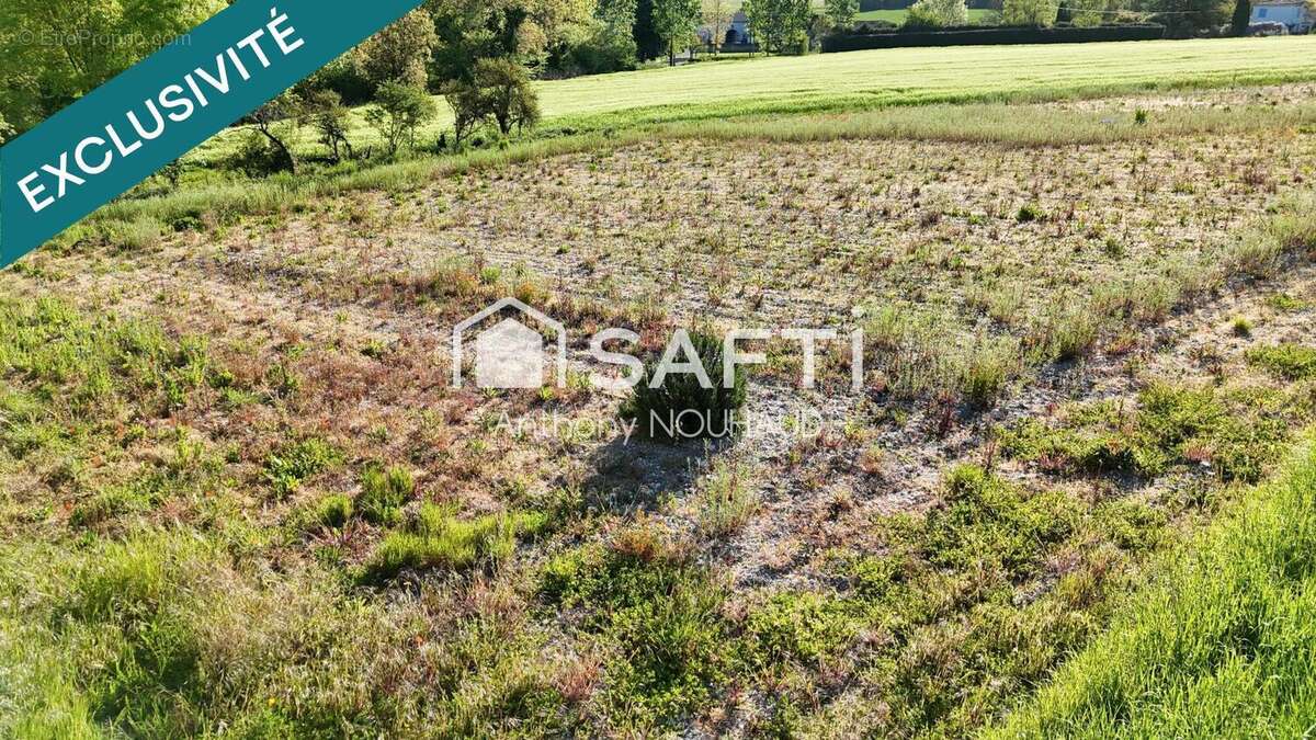 Photo 5 - Terrain à VERRIERES