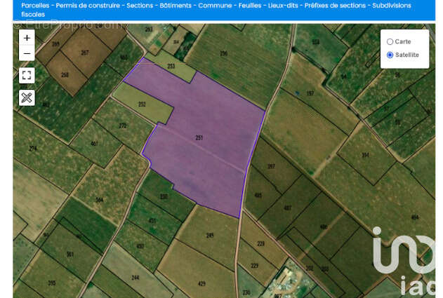 Photo 5 - Terrain à BOUZIGUES