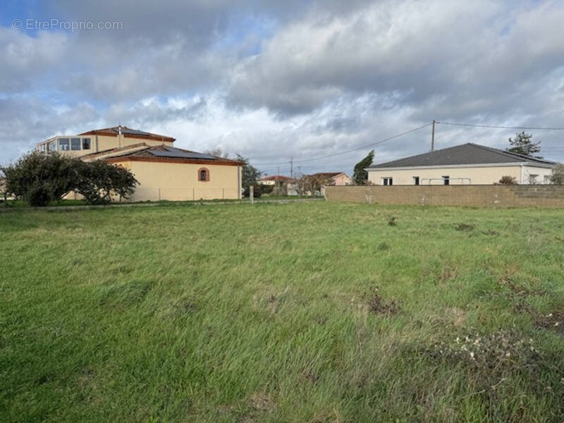 Terrain à CORNEBARRIEU