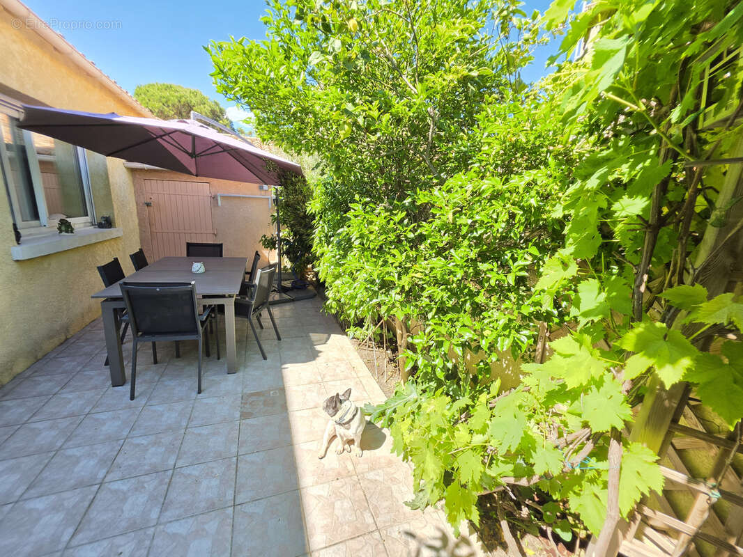 Maison à GRUISSAN