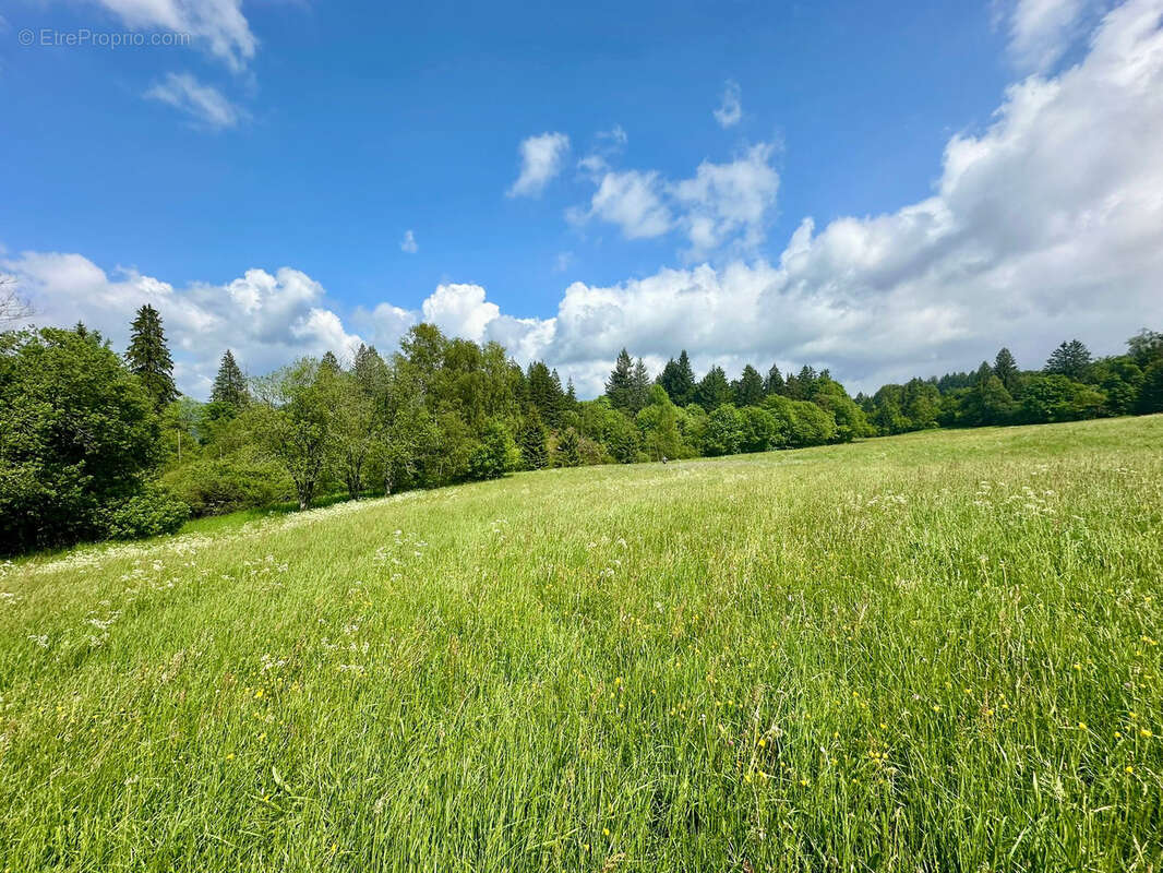 Maison à RAMONCHAMP