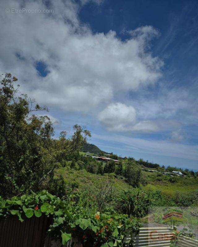 Maison à SAINT-LOUIS