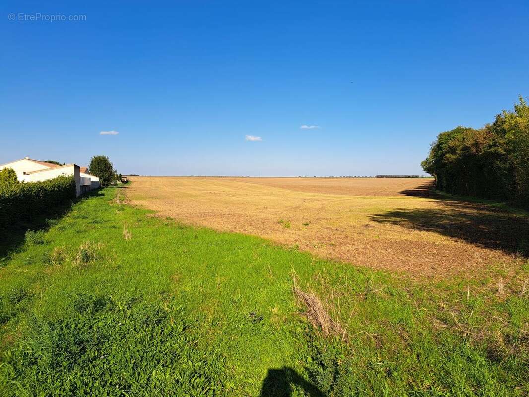 Terrain à VILLIERS-EN-PLAINE
