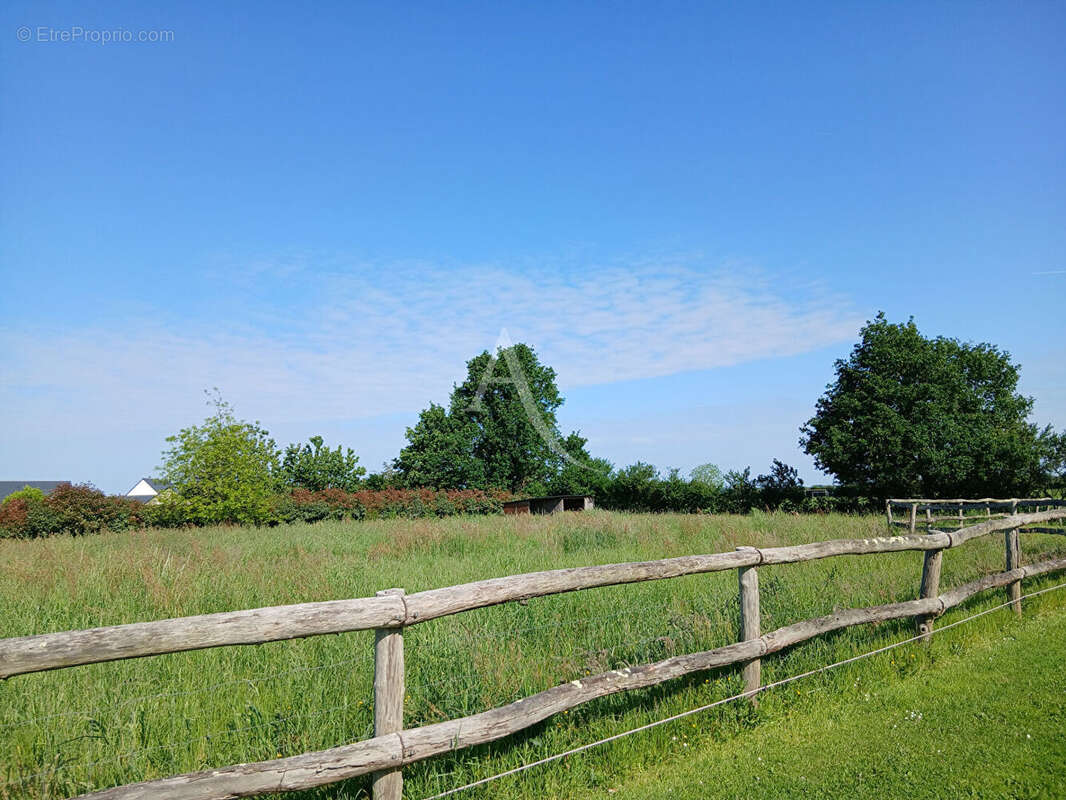Terrain Querre - photo 3