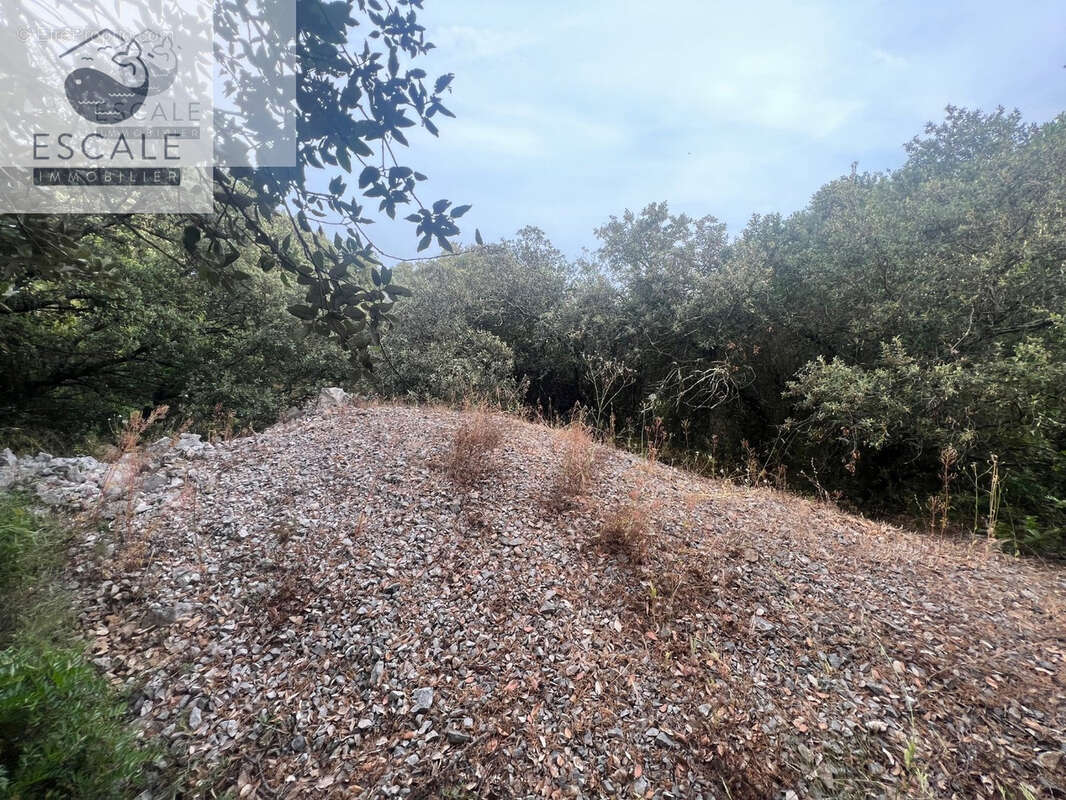 Terrain à PIGNAN