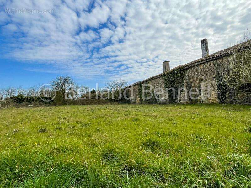Terrain à CHEF-BOUTONNE
