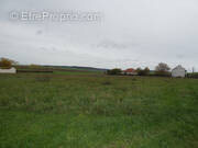 Terrain à LAROCHE-SAINT-CYDROINE