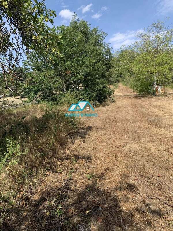 Terrain à VIEILLE-BRIOUDE