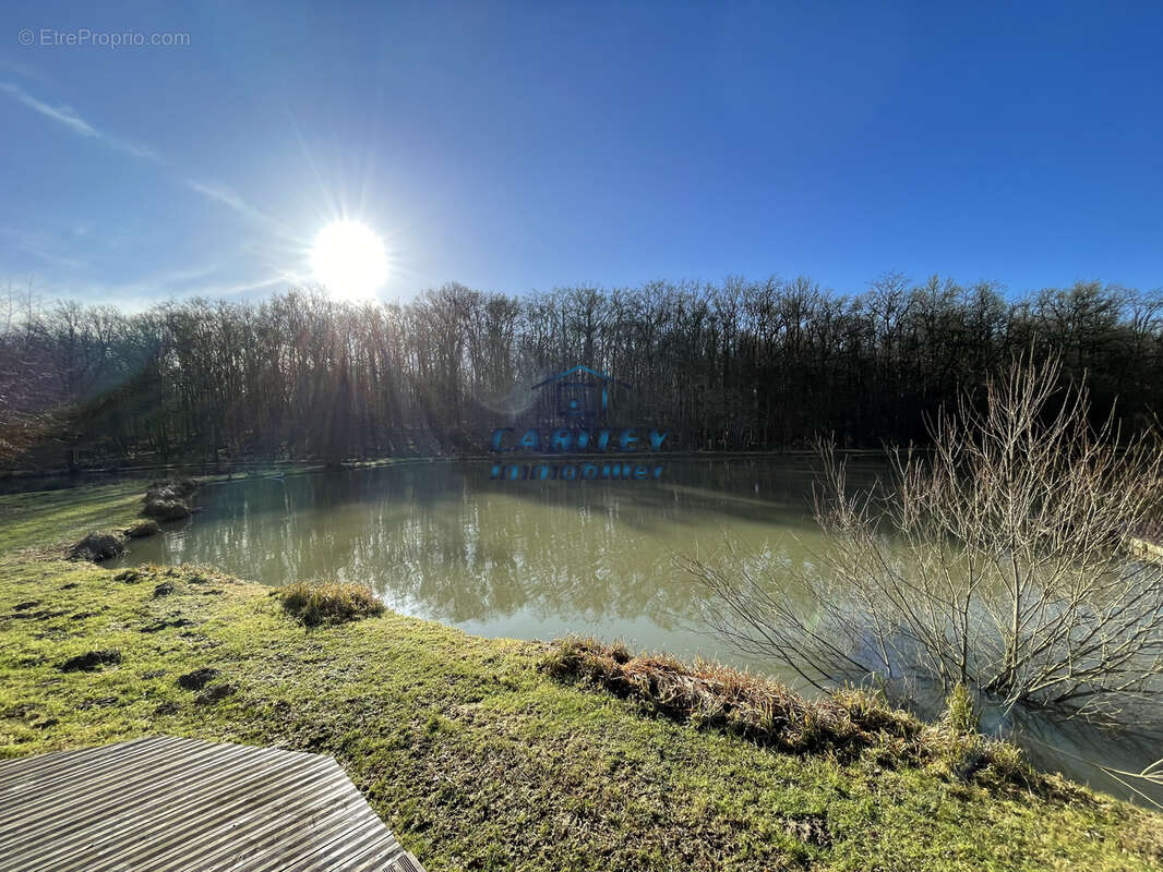 Terrain de loisir avec 3 etangs - axe lure / villersexel - photo 7