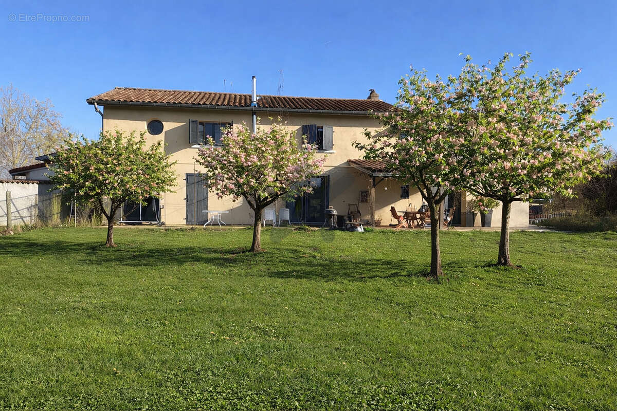 Maison à SAVIGNEUX