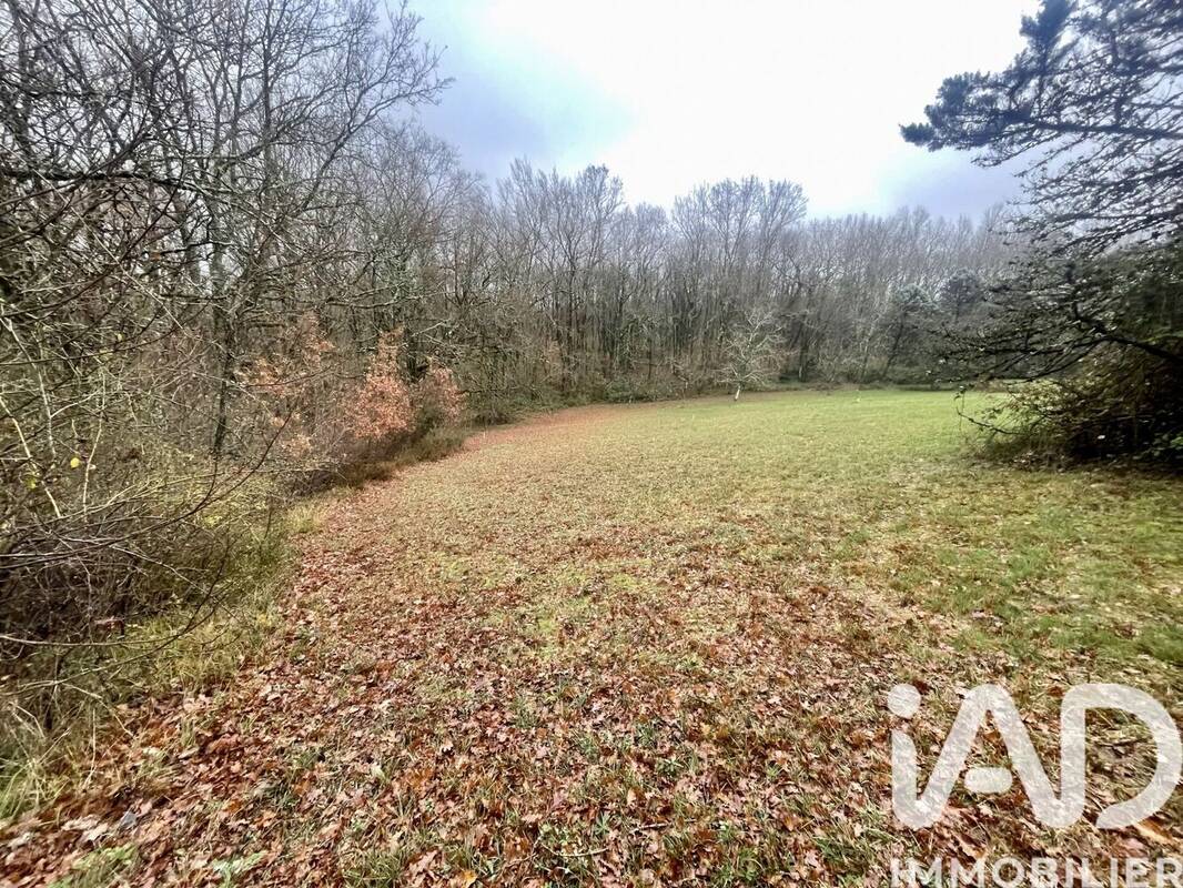 Photo 1 - Terrain à LE BORN