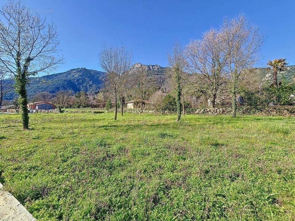 Terrain à COLOMBIERES-SUR-ORB