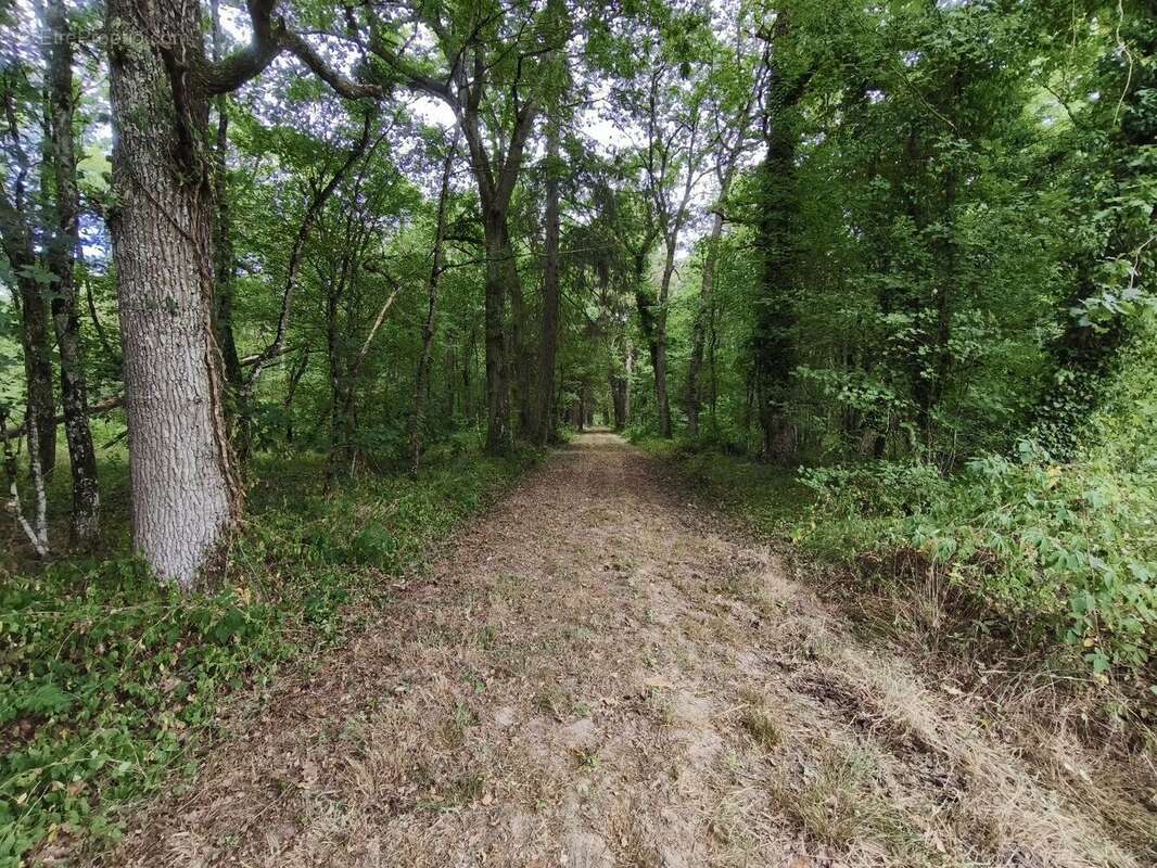 Maison à ROMORANTIN-LANTHENAY