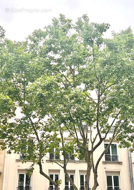 Appartement à PARIS-6E