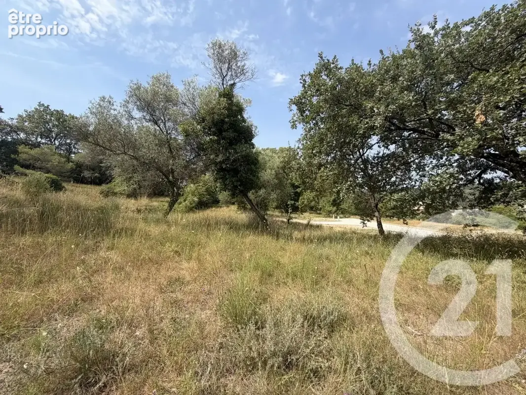 Terrain 2433 m² à Mougins  - photo 4