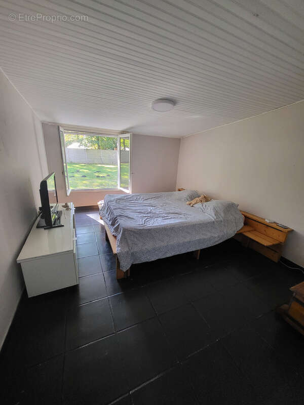 Maison à vendre 5 pièces principales + dépendances et piscine - brach - photo 6