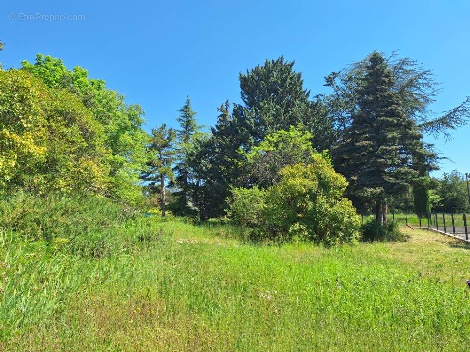 Terrain à LA BASTIDE-DES-JOURDANS