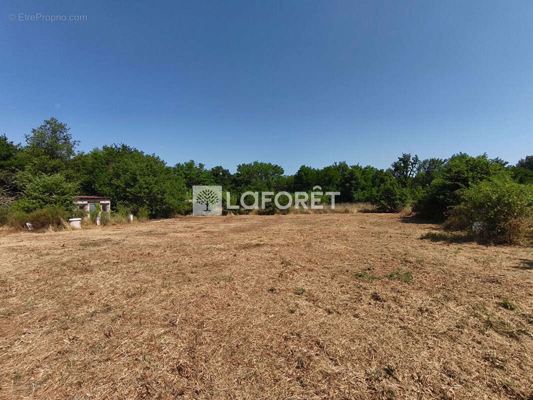 Terrain de loisirs non constructible avec cabanon Maureillas-Las-Illas - photo 6