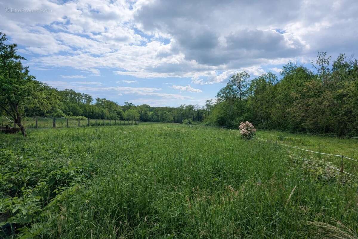Maison à SAACY-SUR-MARNE