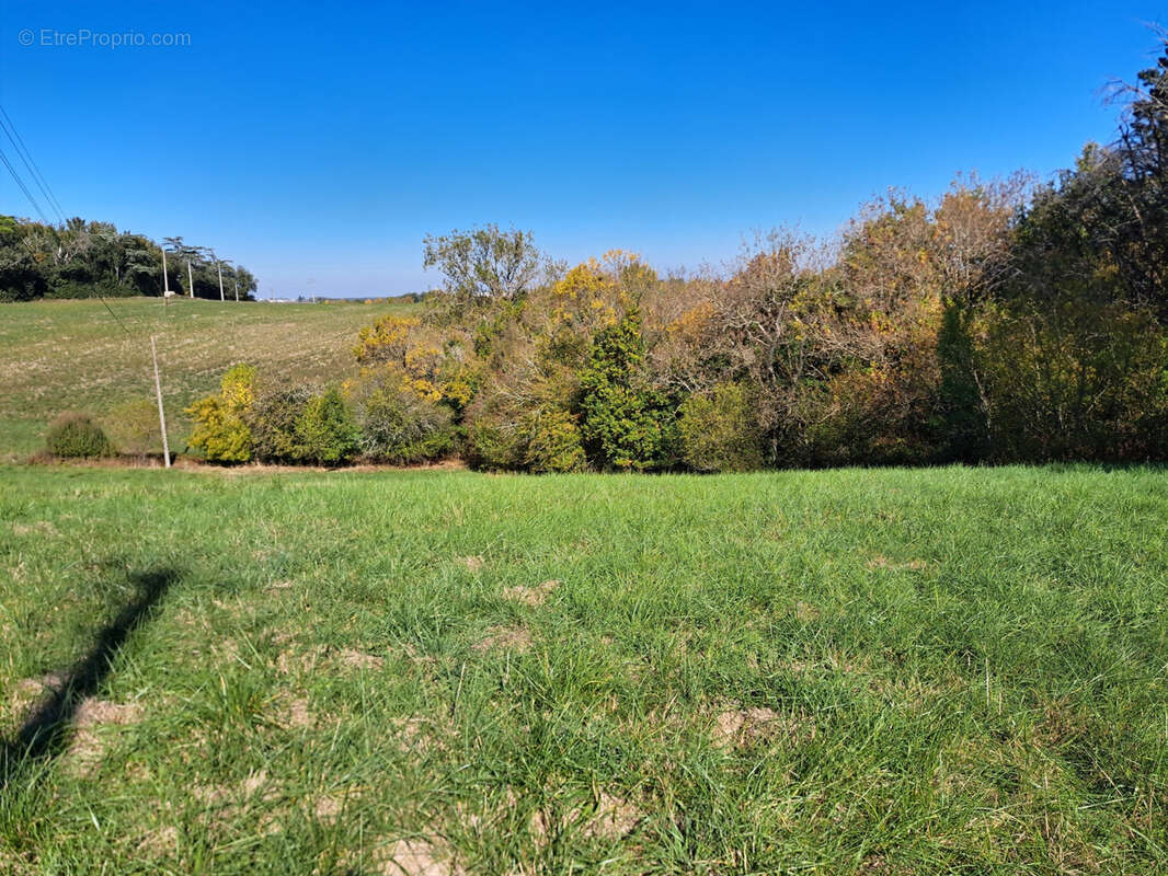Terrain à AUCH