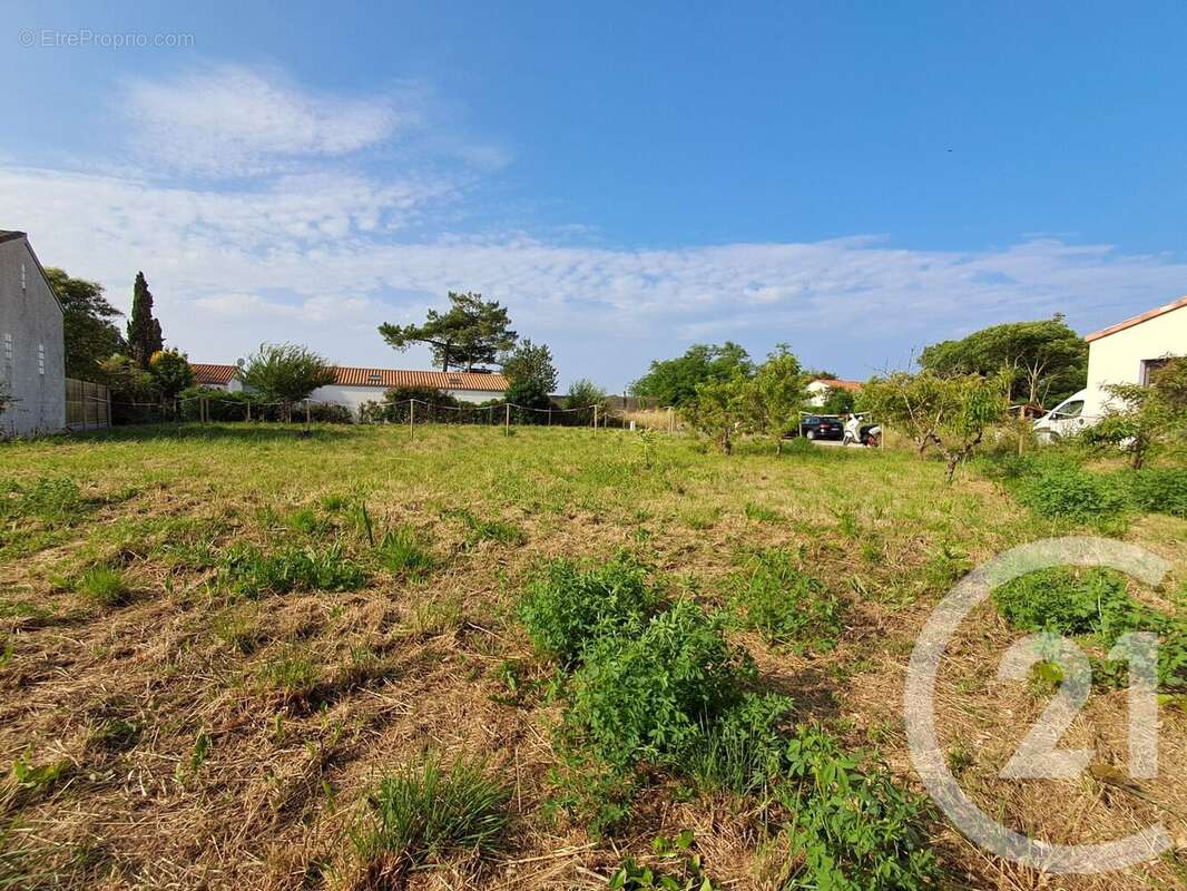 Terrain à TALMONT-SAINT-HILAIRE