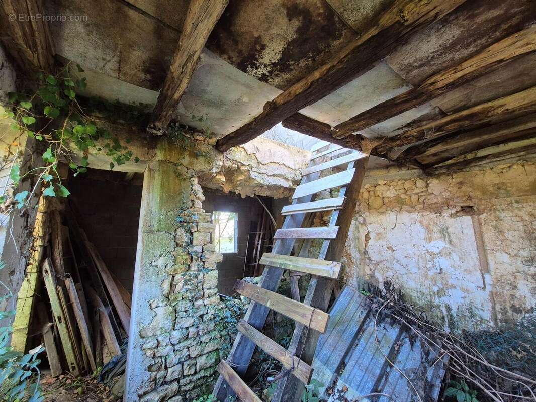 Photo 7 - Maison à CURZAY-SUR-VONNE