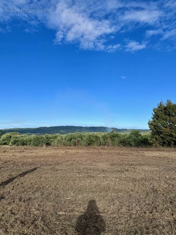 Terrain à ROGNES