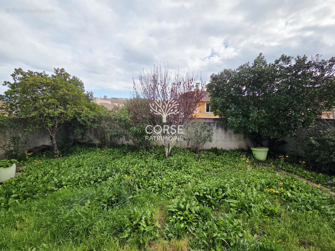 Maison à PORTO-VECCHIO