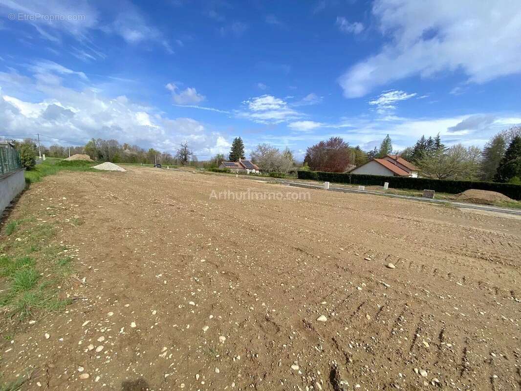 Terrain à MORESTEL