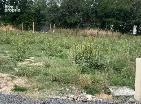 Terrain à NOUATRE