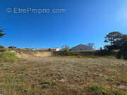 Terrain à SAINT-HILAIRE-DE-RIEZ