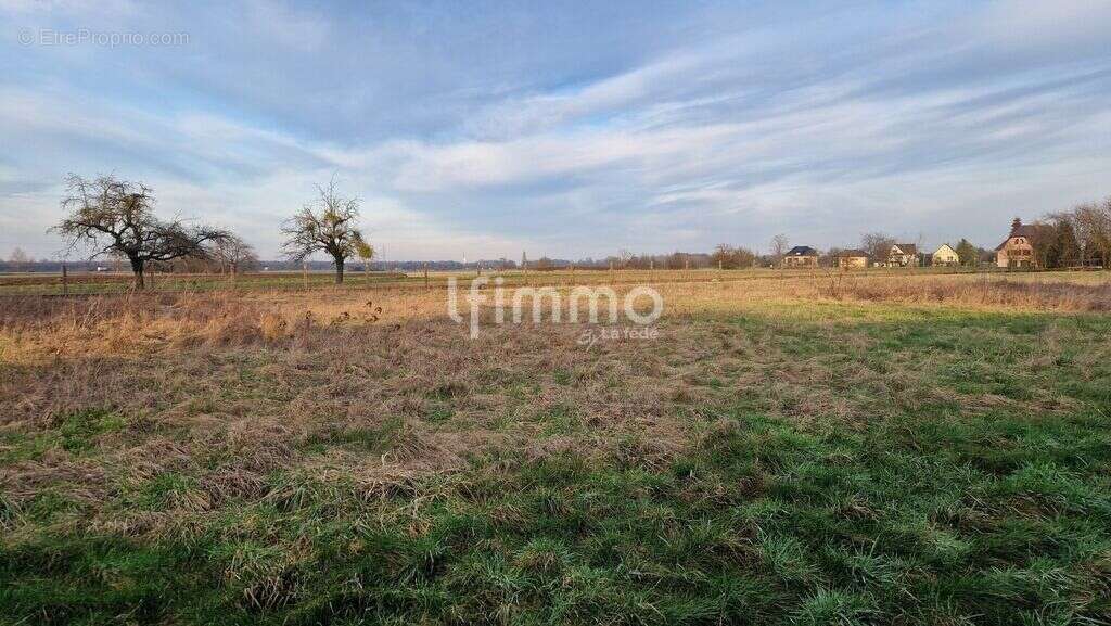 Terrain à DRUSENHEIM