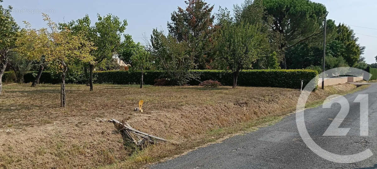 Terrain 700 m² à Gaillac  - photo 2