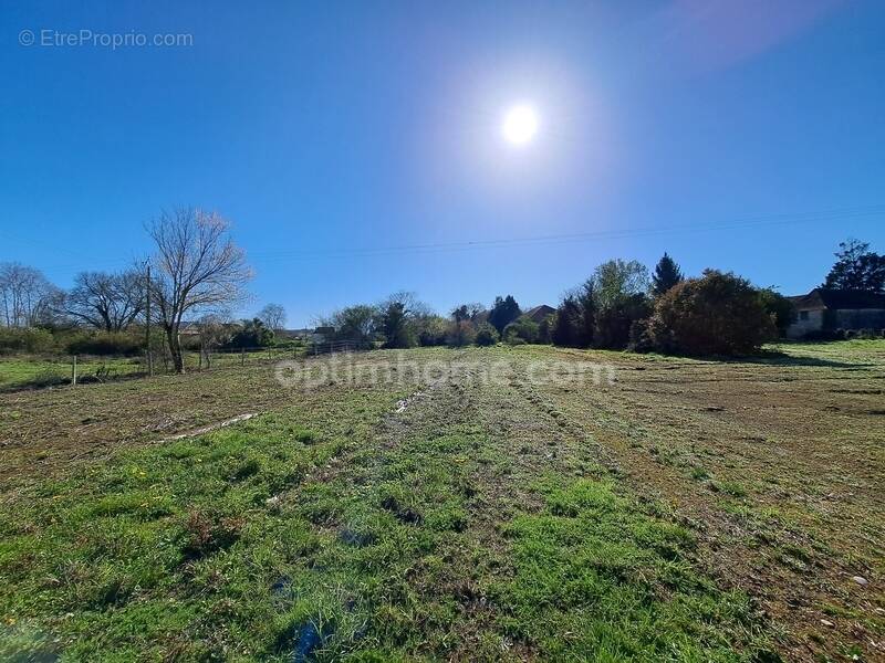 Terrain à SAUVETERRE-DE-BEARN