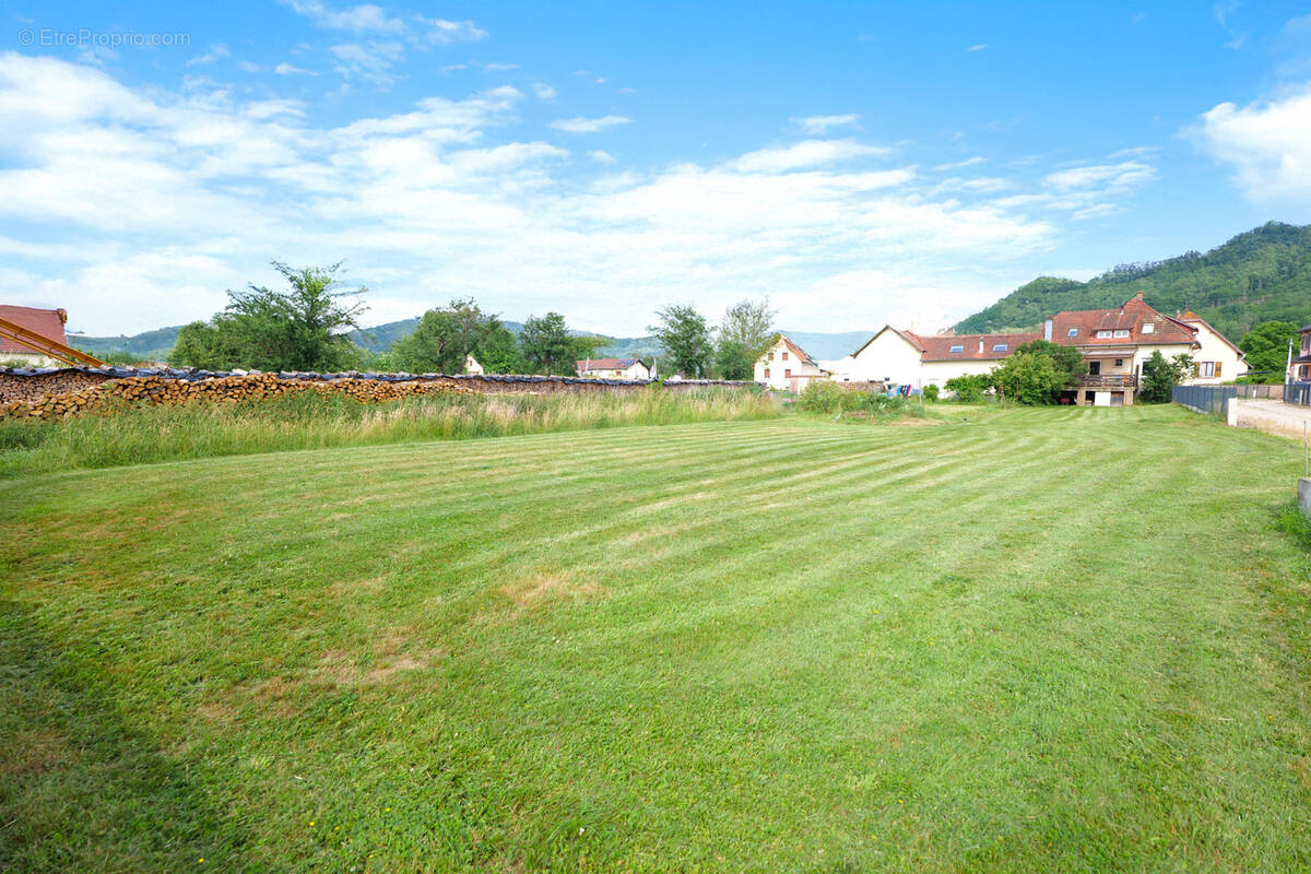 Terrain à GRESSWILLER