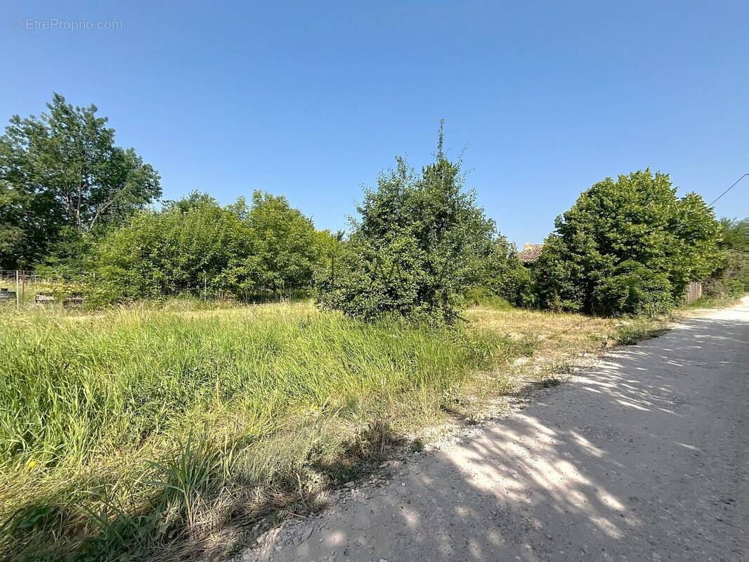 Terrain à L&#039;ISLE-SUR-LA-SORGUE