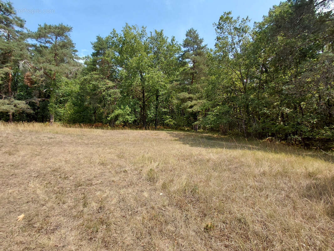 Propriété en pierre sur 3,5 hectares de terrain boisé en Périgord Vert - photo 28