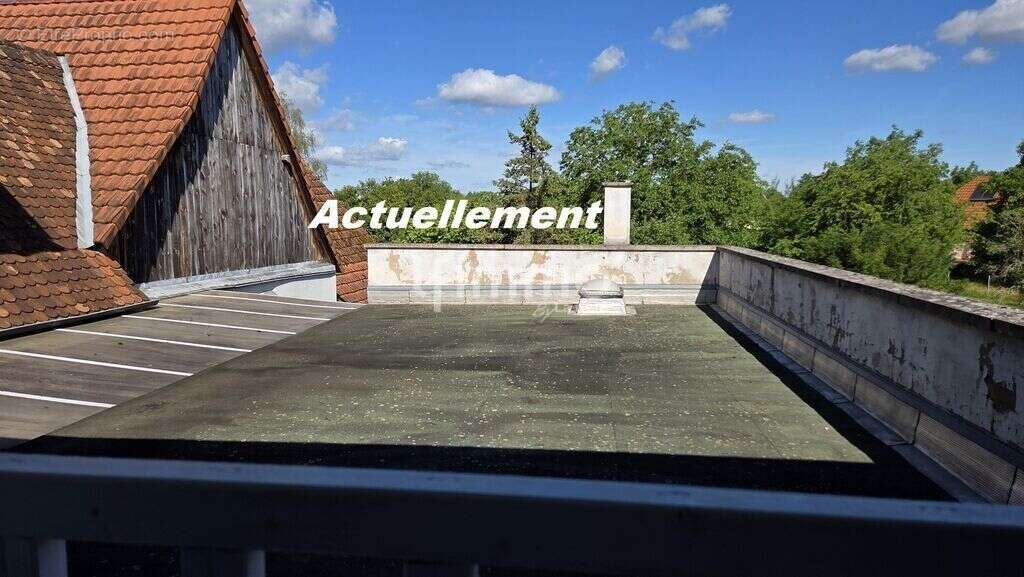 Immeuble mixte 400m² + dépendances sur 20 ares - photo 11