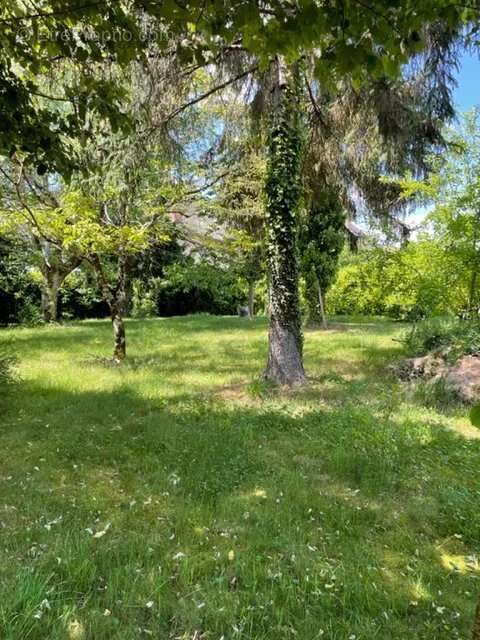 Maison à SAINT-VICTURNIEN